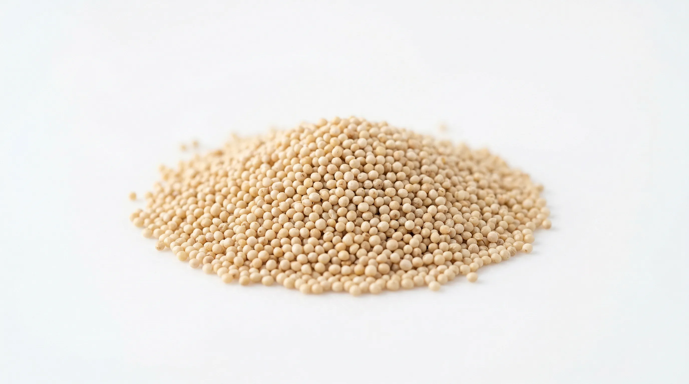 Amaranth Seed
