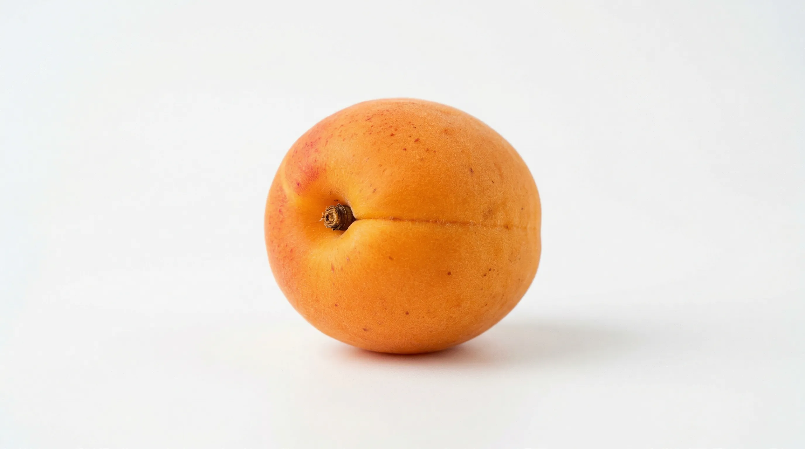 Apricot