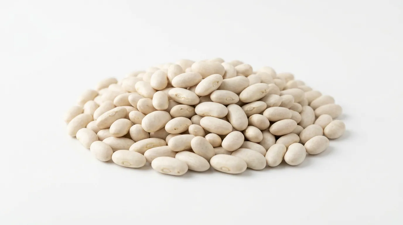 Haricot cannellini