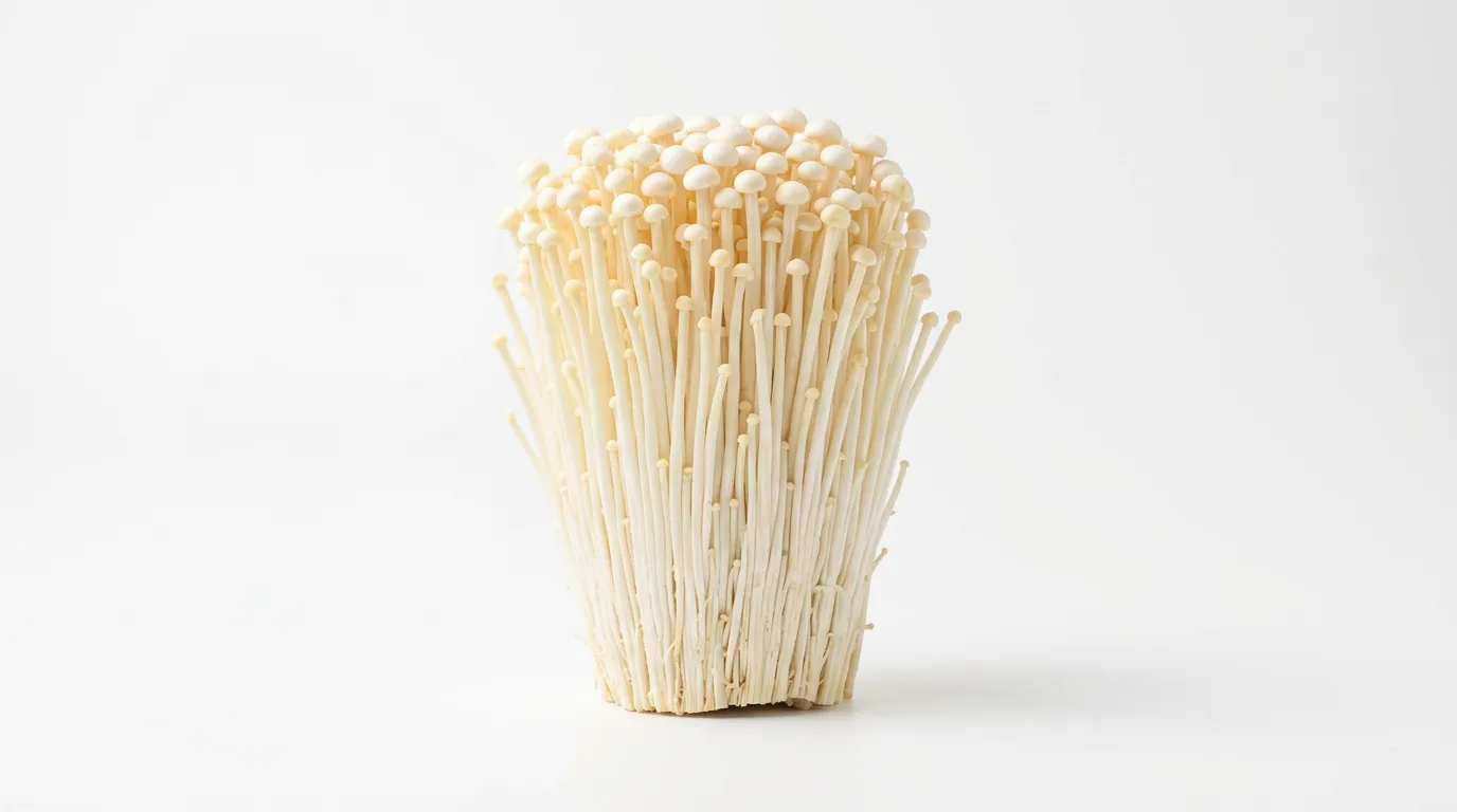 Champignon enoki